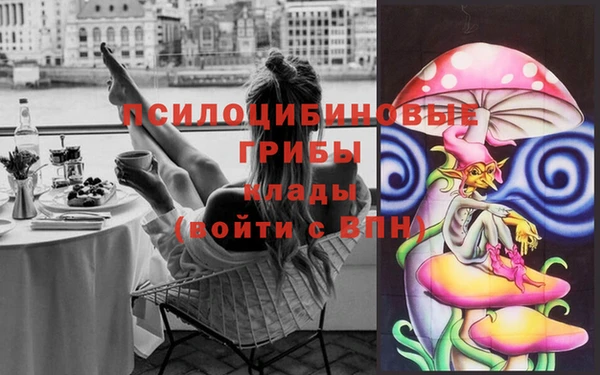 мяу мяу мука Медвежьегорск