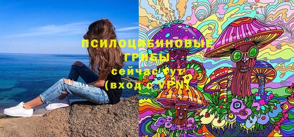 гидропоника Медногорск