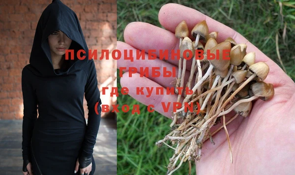 гидропоника Медногорск