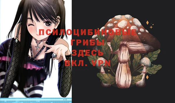 мяу мяу мука Медвежьегорск