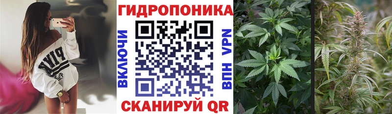 МАРИХУАНА OG Kush  Дмитровск 